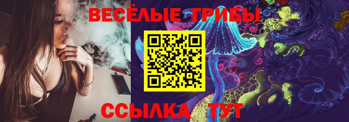 Псилоцибиновые грибы MAGIC MUSHROOMS  купить   Унеча  Вход с VPN 